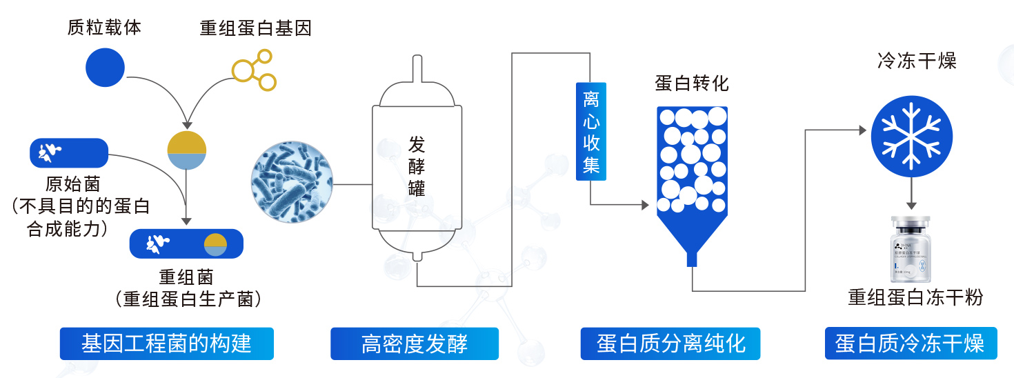 05关于肽园-科研生产实力_23